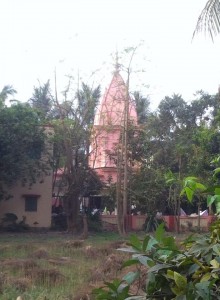 Darsan de Srivasa Angana, a casa de Srivasa, em 28.02.2015