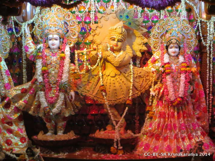 Sri Sri Radha-Vinoda Bihari, Sri Rupa Sanatana Gaudiya Matha