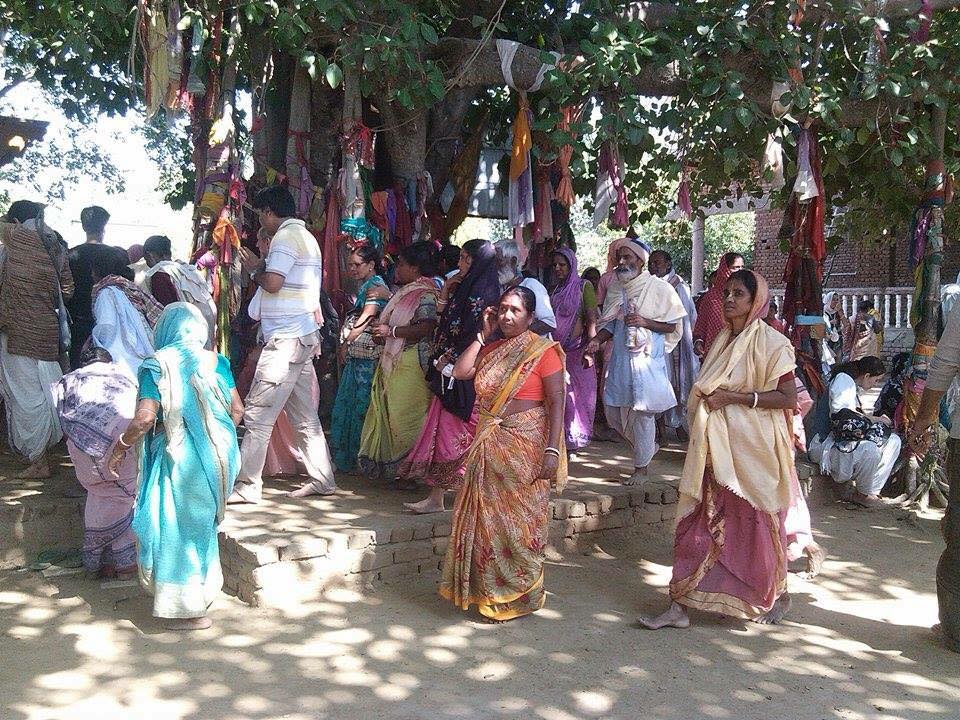 Peregrinos em Bhadravana no Vraja-Mandala Parikrama 2015